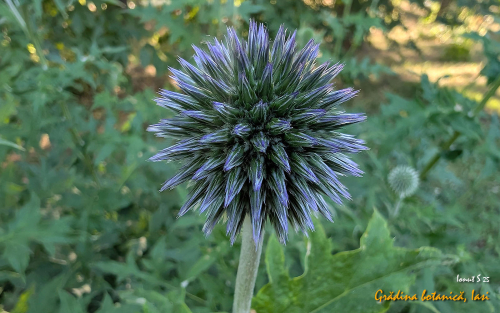 PXL 20250626 153237711