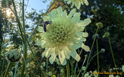 PXL 20250626 153916377