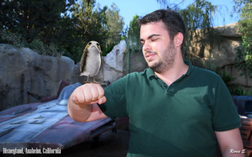 119559389 203554599 dsnyRes-base dsnyLoc-reg (1)