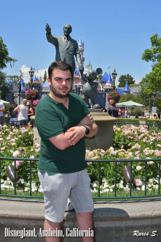 119604852 203573558 dsnyRes-base dsnyLoc-reg