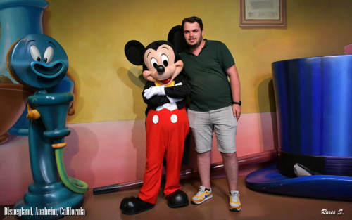 119631471 203595592 dsnyRes-base dsnyLoc-reg