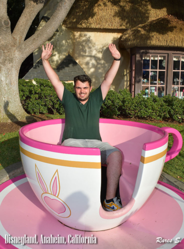 119632766 203597126 dsnyRes-base dsnyLoc-reg