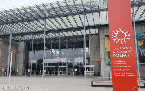 California Academy of Sciences, Exploratorium