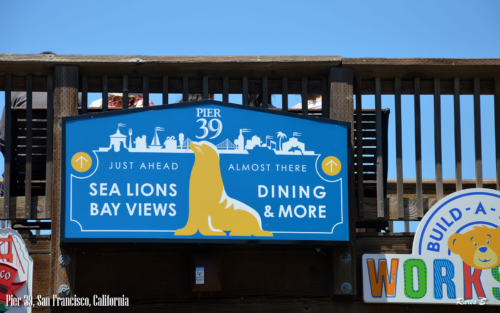 Croazieră Golful San Francisco, Pier 39