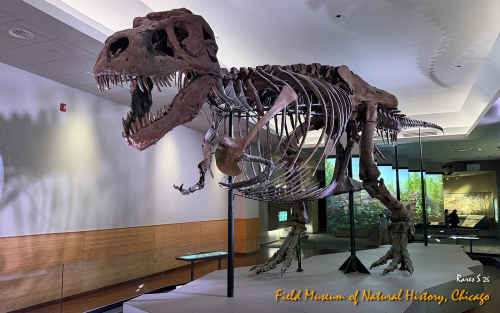 Field Museum
