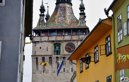Sighisoara (8)