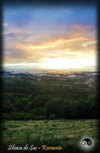 14045985 1517391734952924 1164407900490313789 n