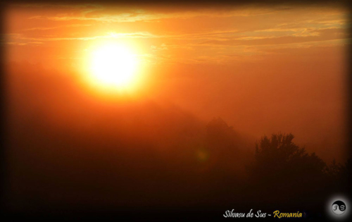 14053660 1517391654952932 5746976054227262457 o