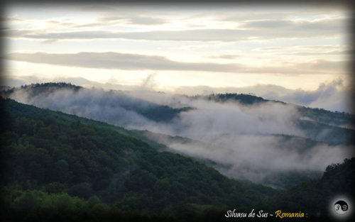 14053699 1517391544952943 817500159879625352 o