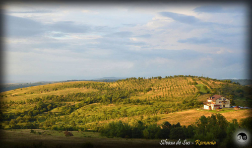 14054485 1517391468286284 3154141502708538790 o