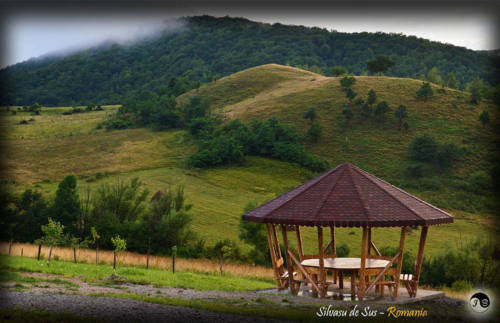 14067837 1517391634952934 617649013154239626 o