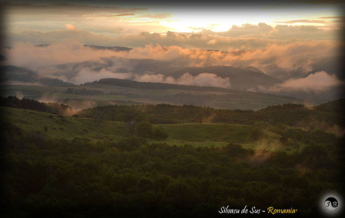 14068355 1517391728286258 603555657929107130 o