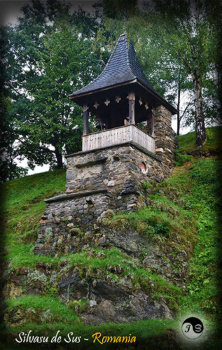 14088485 1517391411619623 1791713053646624376 n