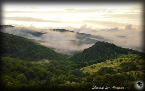 14107865 1517391524952945 9106166573126448742 o