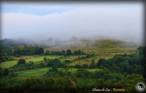 14114807 1517391604952937 7230375211797933758 o