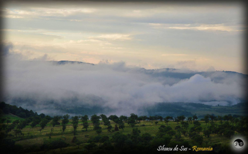 14115443 1517391548286276 3704731356661970587 o