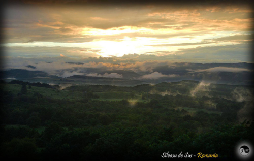 14115521 1517391701619594 8186885559122654625 o