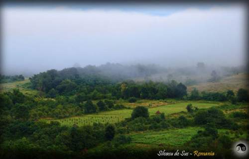 14137985 1517391618286269 1933126412972114565 o