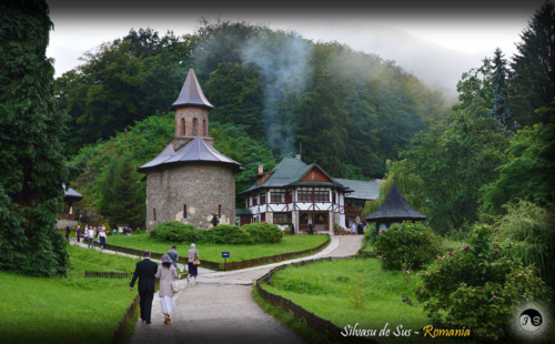 14138012 1517391394952958 3019109052081174593 o