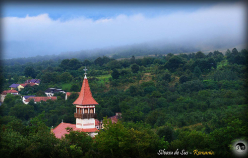 14138236 1517391584952939 4428874781554935790 o