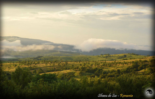 14138864 1517391474952950 6752737879112898548 o