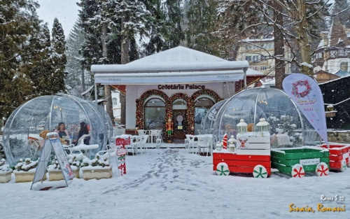 WhatsApp-Image-2022-03-20-at-15.55.20-1