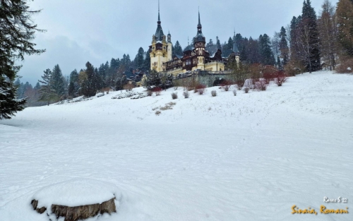 WhatsApp-Image-2022-03-20-at-15.55.20-5