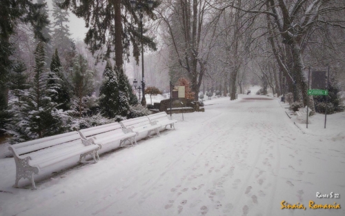 WhatsApp-Image-2022-03-20-at-15.55.20-6