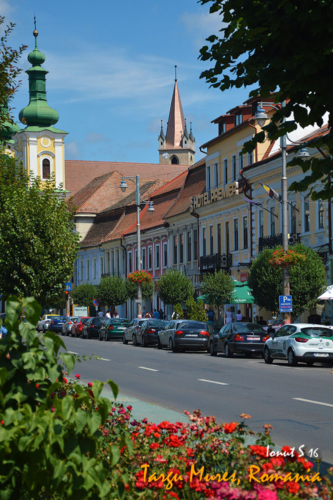 Targu Mures 2016 16