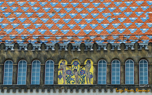 Targu Mures 2016 23