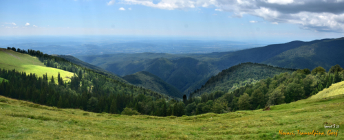 DSC 6874 panorama (1)