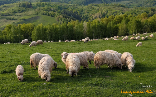 PXL 20250504 150029068.MP 