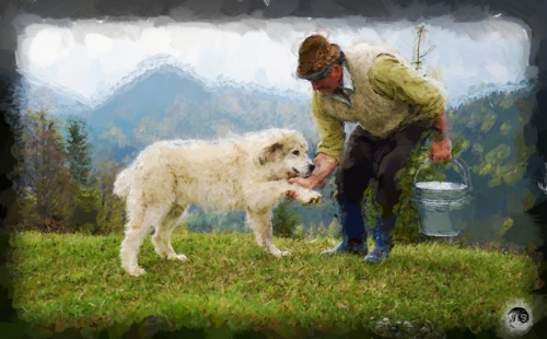 BUCOVINA ANOTIMPURI PRIMAVARA (12)