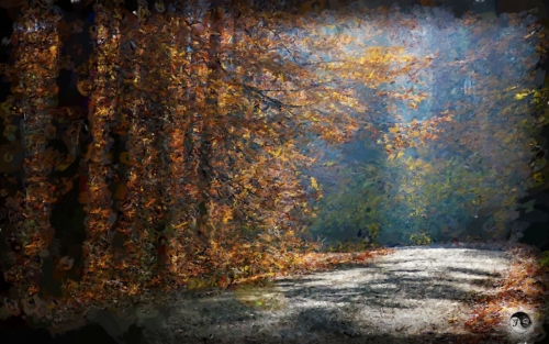 BUCOVINA ANOTIMPURI TOAMNA (13)