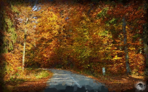 BUCOVINA ANOTIMPURI TOAMNA (14)