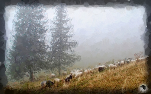 BUCOVINA ANOTIMPURI TOAMNA (18)