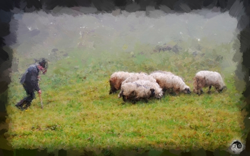 BUCOVINA ANOTIMPURI TOAMNA (20)