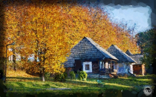 BUCOVINA ANOTIMPURI TOAMNA (23)