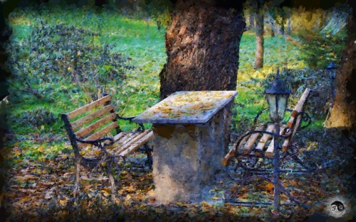 BUCOVINA ANOTIMPURI TOAMNA (24)