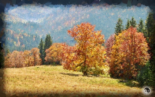 BUCOVINA ANOTIMPURI TOAMNA (6)
