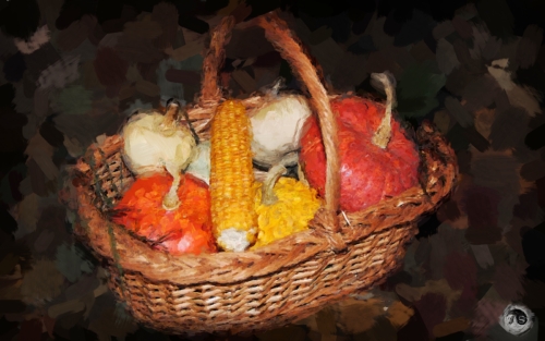 BUCOVINA ANOTIMPURI TOAMNA (7)