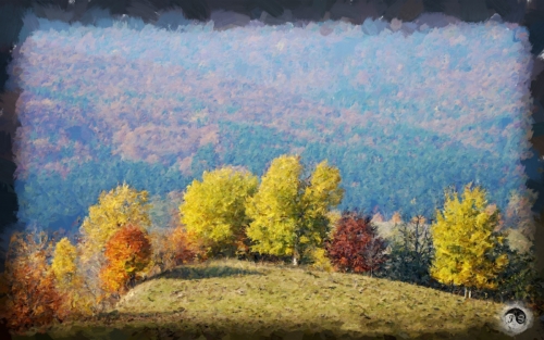 BUCOVINA ANOTIMPURI TOAMNA (9)