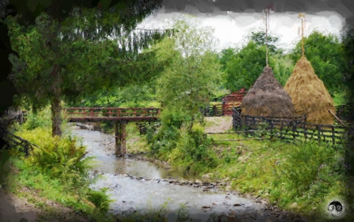 BUCOVINA ANOTIMPURI VARA (1)