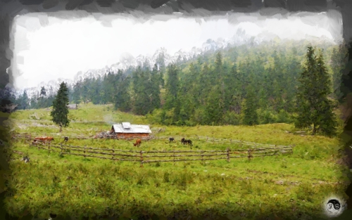 BUCOVINA ANOTIMPURI VARA (10)