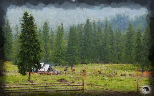 BUCOVINA ANOTIMPURI VARA (11)