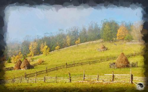 BUCOVINA ANOTIMPURI VARA (14)