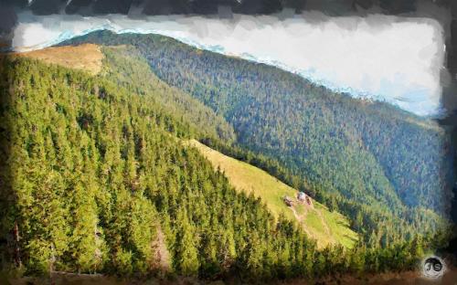 BUCOVINA ANOTIMPURI VARA (15)