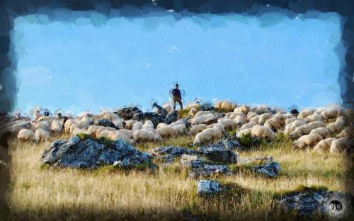 BUCOVINA ANOTIMPURI VARA (16)