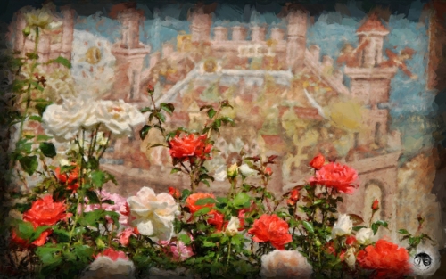 BUCOVINA ANOTIMPURI VARA (18)