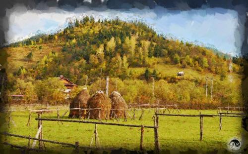 BUCOVINA ANOTIMPURI VARA (21)